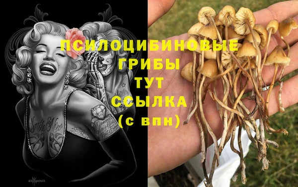 бошки Алексеевка