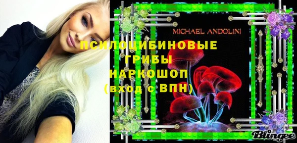 эйфоретик Алзамай