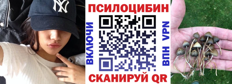 магазин  наркотиков  Омутнинск  OMG ссылки  Псилоцибиновые грибы мицелий 
